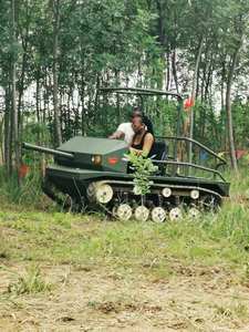 La voiture d'amusement peut être contrôlée à distance, équipement d'amusement standard à traction pour parc d'attractions - Product Image 3