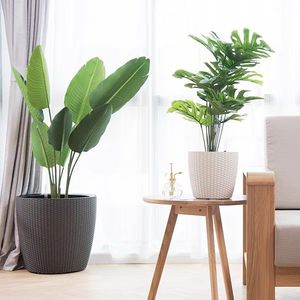 Pots de fleurs <span class=keywords><strong>en</strong></span> plastique, style luxe léger, multi-tailles, pour balcon intérieur - Product Image 1