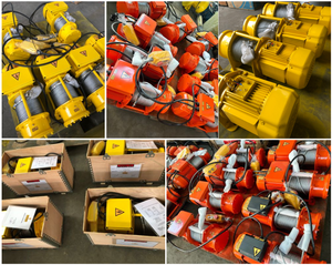 ALLMAN Vente chaude <span class=keywords><strong>Treuil</strong></span> électrique à vitesse rapide série AMGW <span class=keywords><strong>220V</strong></span> 380V pour la construction Petit grue à singe - Product Image 4