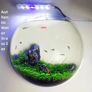 Creatief Acryl Aan De Muur Gemonteerde <span class=keywords><strong>Aquarium</strong></span> Mini Klein <span class=keywords><strong>Aquarium</strong></span> Voor Huisdecoratie - Product Image 3
