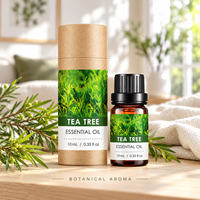 Huile Essentielle d'Arbre à Thé pour Aromathérapie, Diffuseur, Massage Facial, Soin de la Peau, 10ml Chacune, OEM ODM, Marque Privée, Logo Personnalisé, Vente en Gros, Carton