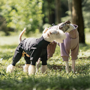 Chaqueta de Invierno Moderna y Ecológica para Perros, Abrigo Impermeable para Mascotas, para Bassotto, Wiener, Dachshund, Hamburg, Teckel - Product Image 4