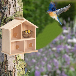 Raam Vogelhuisjes Voor Buiten Zien Door Opgewaardeerd Houten Vogelhuisje Buitenshuis Vogelnest Transparant Ontwerp Voor Eenvoudige Observatie - Product Image 5
