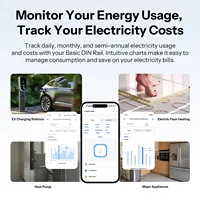 BASIC-1GSP DIN Rail Sonoff Matter Over WiFi Smart Switch Dengan Pemantauan Energi Real-Time 32A Beban Daya Tinggi Aplikasi Ewelink Alexa