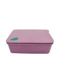 Boîte à lunch écologique en fibre de coque de riz à compartiment unique, comprenant un récipient alimentaire et un récipient en coque de riz, emballée en carton