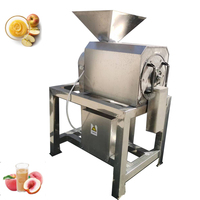 Fruitzaad En Pulp Scheidende Machine Fruitpulper Appel Mango Tomaat Druif Dadelpulper Pulper Pulpmachine