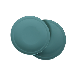 Folin Brand Customized High Grade 300 Diameter Circle Shape <b>Plastic</b> Food Trays Plates Vietnam's RD30 Customized Color Blister - Product Image 5