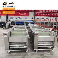 Xinlongjia Raadt Gemberreinigings-En Droogmachine Wortelwasmachine Aardappelen Schilmachine Aan