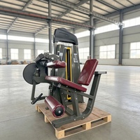 Machine de musculation professionnelle de haute qualité pour la musculation, équipement de fitness commercial, machine à flexions des jambes