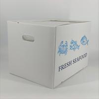 Boîte en plastique ondulé PP de qualité alimentaire, écologique et recyclable, étanche, pour l'emballage des produits de la mer en chaîne du froid, pour le poisson congelé