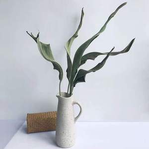 5 pièces en gros oiseau paradis fleur <span class=keywords><strong>fleurs</strong></span> sèches naturel séché <span class=keywords><strong>Strelitzia</strong></span> feuille décor à la maison bricolage Arrangement fête des mères mariage - Product Image 1