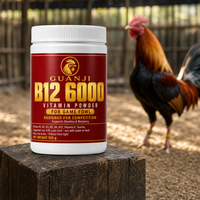Poudre de récupération pour oiseaux de compagnie pour coqs actifs : Énergie musculaire rapide et vitalité – Supplément vitaminique pour la santé aviaire (OEM)