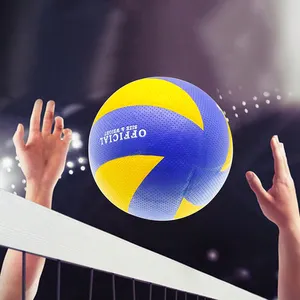 Authentic No. 5 Volleyball High School Entrance Exam Special Ball PU Adhesive Inflatable Soft Student Training Soft Volleyball