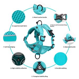 Harnais pour animaux de compagnie de différentes couleurs en gros, sangle de poitrine respirante pour chien avec laisse, gilet durable pour chat - Product Image 3