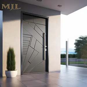现代设计装饰卓越品质枢轴门入口前安全钢门