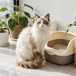 Litière pour chat jetable biodégradable de tofu écologique de 1.5mm - Product Image 1