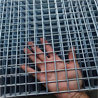 Grillage soudé en acier galvanisé Liancheng 1x1 pouce, revêtement PVC uni, pour volière, lapinière, poulailler, enclos pour animaux de compagnie