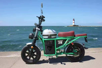 Bicicleta Eléctrica Retro con Llantas Anchas, Neumáticos Gruesos y Cómodos, Elegante, Nueva Energía, Suministro Directo de Fábrica en China