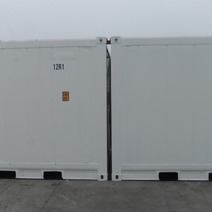 Mini Refrigerador Thermo King, Contenedor Refrigerado de 10 Pies (3 Metros), Cámara Frigorífica de Acero Corten para Almacenamiento, Disponible en Australia y Sudamérica - Product Image 2