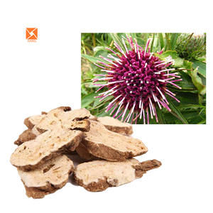 Fábrica de Abastecimento Grau Alimentar Waer Solúvel Branco Aractylodis Raiz Extrato <span class=keywords><strong>Atractylodes</strong></span> Macrocephala PE Extrato Em Pó - Product Image 2