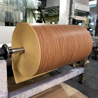 Panneaux en mélamine de style design moderne 60g-100g Couleur unie Stratifié MDF Panneau de particules contreplaqué Bois pour utilisation en meubles