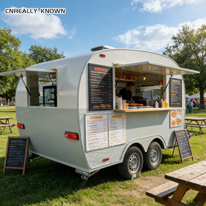 Camión de Comida con Asador Giratorio Único, Remolque Móvil Personalizado para Asar Pollo - Product Image 2