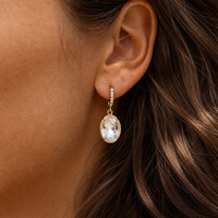 Boucles d'oreilles pendantes en acier inoxydable, forme ovale, zircon blanc, pour femmes, accessoires, bijoux