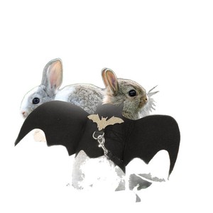 Halloween Bat Wings Costume <b>For</b> Dogs And <b>Cats</b> Black With Pumpkin Bell Vampire Style Pet <b>Clothes</b> - Product Image 5