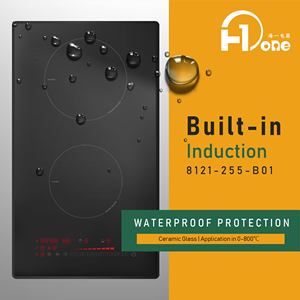 20 pulgadas Wifi Aplicación de teléfono de Control de cocinas de inducción construido en 2 cabeza inteligente placa de inducción ROHS EMC Emf CB Ce - Product Image 5