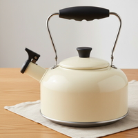 Bouilloire sifflante en acier inoxydable de 3 L, vente en gros d'usine, couleur personnalisée, théière à eau chaude pour tous les types de cuisinières, poignée pliable