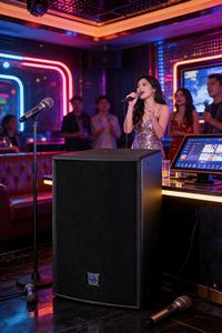 Altavoz Profesional de Rango Completo <span class=keywords><strong>Q</strong></span>-<span class=keywords><strong>10</strong></span> de <span class=keywords><strong>10</strong></span> Pulgadas |   Altavoz PA de Alta Potencia para KTV y Clubes de Entretenimiento - Product Image 5