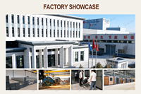Maison préfabriquée extensible de 20, 30 ou 40 pieds, conforme aux normes locales, 2, 3 ou 4 chambres, à vendre, maison mobile, casa portable