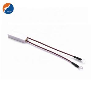 Термальный предохранитель Tianrui F00240C выпрямитель для волос 10A <span class=keywords><strong>15A</strong></span> 240c 227C F00240C термальный предохранитель - Product Image 5