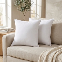Coussin en fibre de polyester carré pour le camping, toutes saisons, soutien du dos, soutien lombaire, abordable