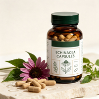 Capsules d'échinacée et de sureau à haute puissance – Complément alimentaire à base de plantes pour le soutien immunitaire des adultes – Stimulant naturel pour la santé respiratoire