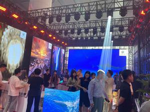 Hệ Thống Chiếu Sáng Sân Khấu Dj 2*3W Disco Led Đôi Derby Ánh Sáng Hiệu Ứng Sân Khấu Công Suất Cao - Product Image 5