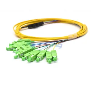 Câbles de raccordement fibre optique FTTH LSZH queue de cochon ruban Bunchy 12 couleurs
