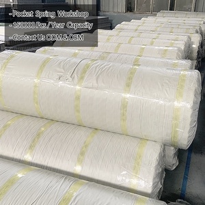 Dây Thép Cacbon Cao Bán Chạy Giá Thấp Lò Xo Xoắn Ốc Kích Thước Tùy Chỉnh <span class=keywords><strong>5</strong></span> Phân Khúc - Product Image 6