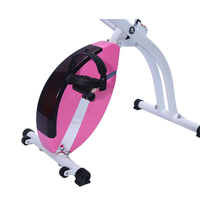 Vélo d'exercice pliable magnétique portable, 8 niveaux de résistance, écologique, usage domestique, capacité de 100 kg, unisexe
