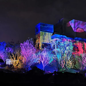 Guirlandes lumineuses LED décoratives pour parcs et jardins, résistantes à l'eau IP65, pour Noël et les fêtes - Product Image 1