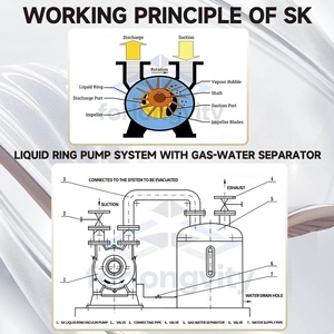 Bomba de Vacío de Anillo Líquido de Alta Resistencia Forlongvity Serie <span class=keywords><strong>SK</strong></span> 75HP, Maneja Gases Explosivos Húmedos, Lubricación a Base de Agua, Infusión de Resina - Product Image 4
