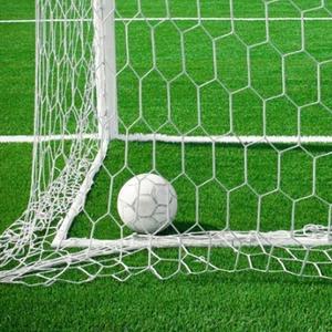 Portería <span class=keywords><strong>de</strong></span> Fútbol Portátil Grande y Resistente, Equipo Esencial para Jardín, para Entrenamiento en Patio <span class=keywords><strong>de</strong></span> Recreo, para Balones <span class=keywords><strong>de</strong></span> Fútbol, Redes Deportivas - Product Image 6