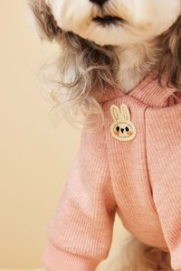 JXANRY graziosa felpa con cappuccio con orsacchiotto quattro piedi autunno e inverno vestiti per animali domestici con felpe in peluche <span class=keywords><strong>Schwab</strong></span> con due False felpe - Product Image 2