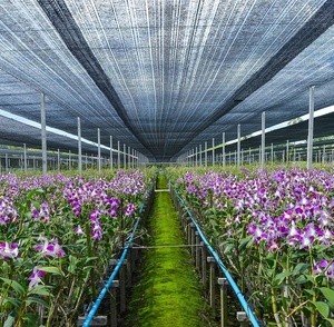 ตาข่ายม่านบังแดดสำหรับการเกษตรสีดำตาข่ายคลุมโรงเรือนเกษตรถักแบบแบน HDPE ปลูก40% 90% - Product Image 3