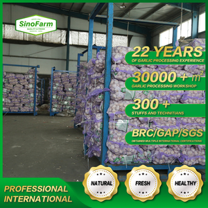 Ajo Orgánico <span class=keywords><strong>Fresco</strong></span> de Granja para Sazonar Curry, Soplas y Bocadillos - Product Image 5