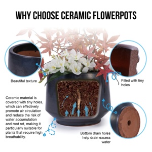 Lot de trois pots en céramique noire mate faits à la main, texturés, de 15, 11 et 9 pouces, pour orchidées et begonias – Prix bas, en stock - Product Image 5