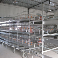 Équipement d'élevage avicole, système d'alimentation automatique, cage à poulets de type H
