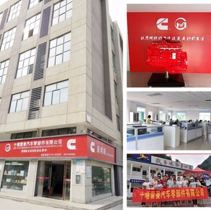 ISM qsm M11 Cummins turbo tăng áp <span class=keywords><strong>Kit</strong></span> 4089862 4037634 4037633 4037629 - Product Image 3