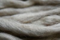 Machine à carder les fibres de lin et de chanvre