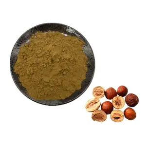 Hot Sale 4:1 MeLia Extract Powder Neem Extract Powder Neem Extract